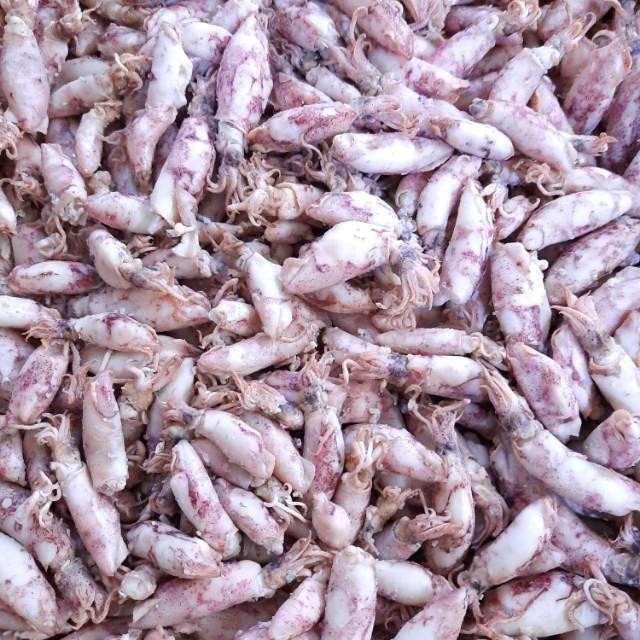 

ASLI Ikan Asin Cumi Sotong Ukuran Sedang READY STOCK