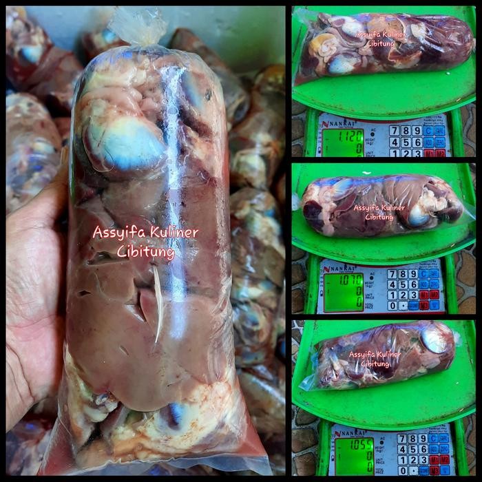 

Pilihan- Ati Ampela Bebek Premium Berih Perkilo Murah Banget