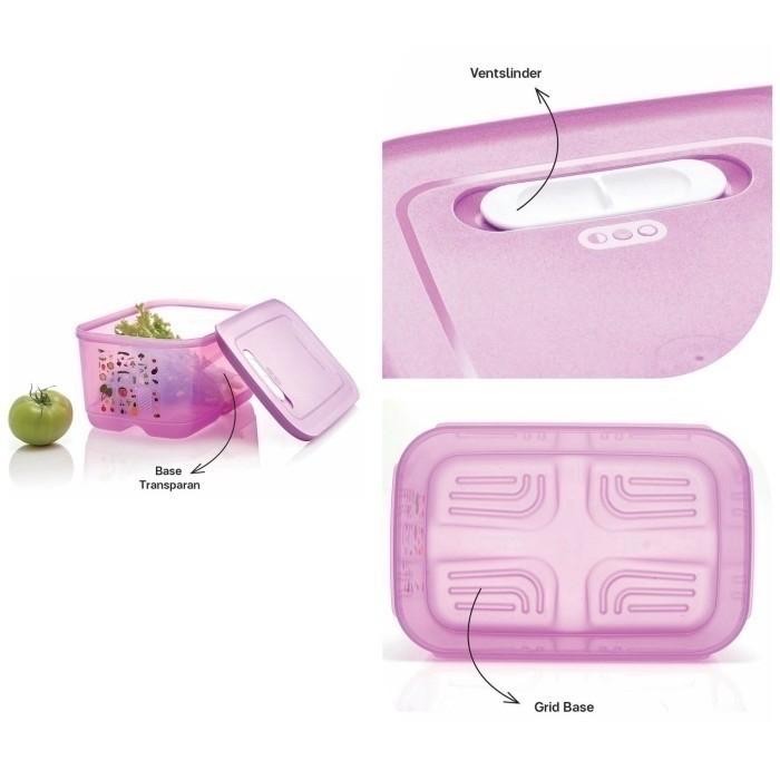 Sale Tupperware Promo Ventsmart Wadah Buah Sayur Dalam Kulkas