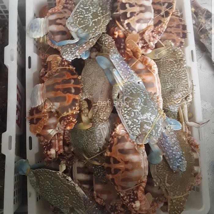 Instanbisa- Rajungan Kepiting Fresh Frozen
