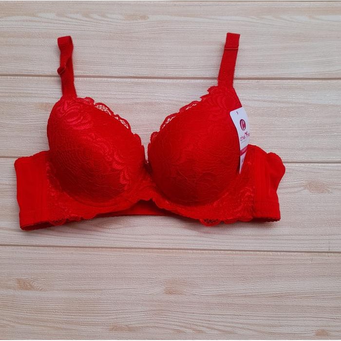 *chelyne 2962* bra busa tebal pakai kawat kait 3* size 36.38.40B Bh Wanita