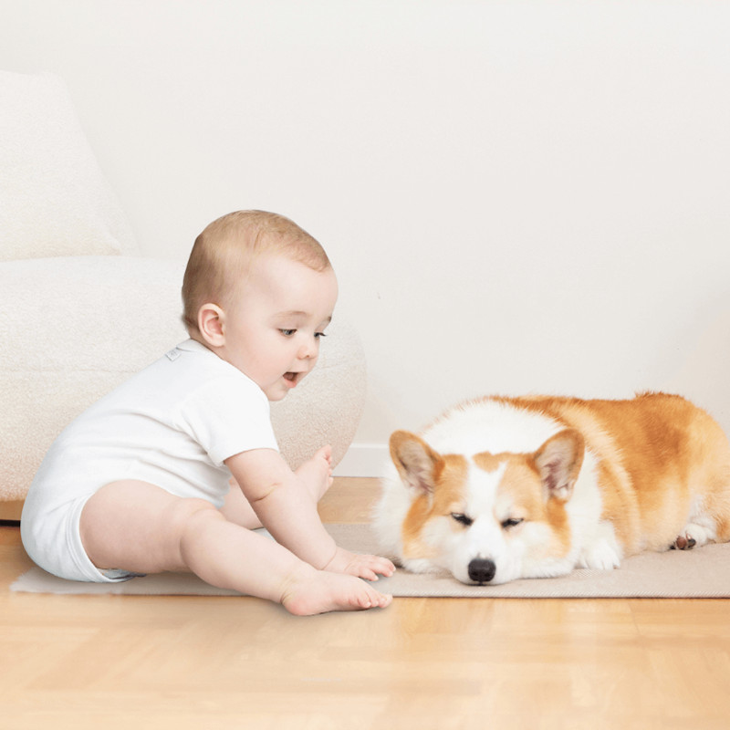 Original 300ML Floor Special Cleaning Fluid For MIJIA Omni Robot Vacuum Cleaners Mop 1S 2 Pro Access