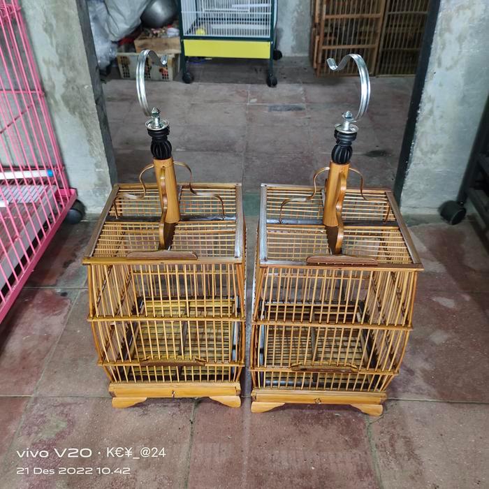 Sangkar Burung Pleci,Kolibri,Cipau,Ciblek,Dll Model Cungkok Soloan. #Gratisongkir