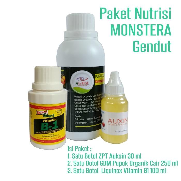 

Promo Paket Nutrisi Monstera Gendut Terjamin