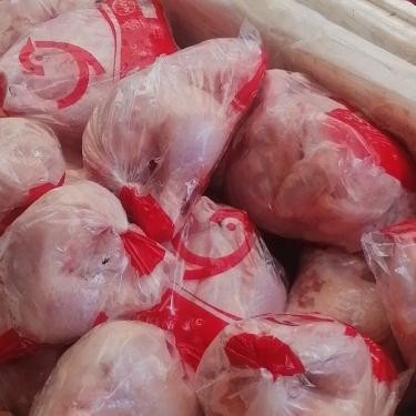 

Pilihan- Ayam Karkas Broiler Ayam Potong Ayam Negeri Murah Banget 0.7-08 Kg
