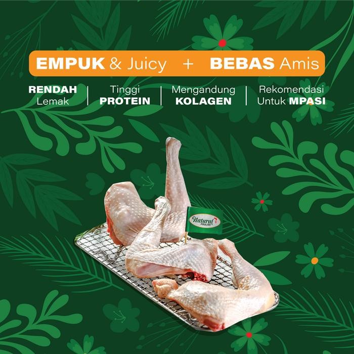 

Pilihan- Paha Parting Ayam Kampung Organik Probiotik Natural Poultry