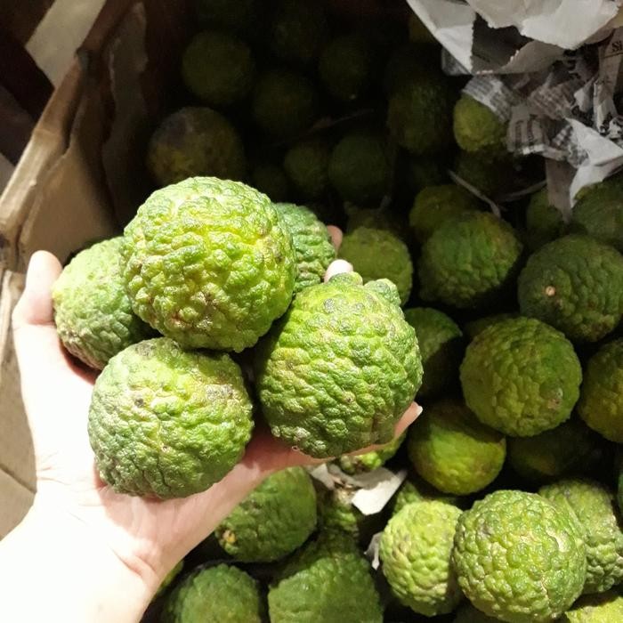 

Pilihan- Asam Jungga Utte / Te Jungga / Jeruk Jungga