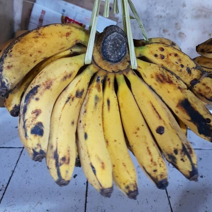 

Pilihan- Pisang Raja 1 Sisir