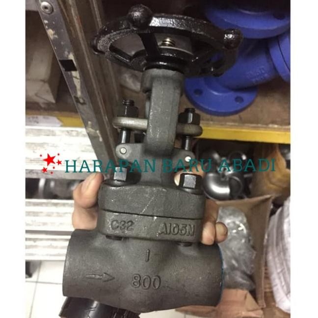 Gate Valve Carbon Steel Class 800 Drat 1" inch