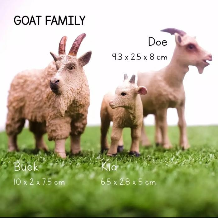 TERBARU MONTESSORI CULTURAL FARM ANIMAL GOAT TERMURAH