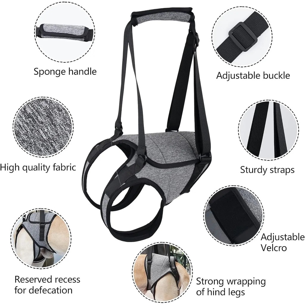 Dog Leg Strap Disability Brace Help Walking Harness Auxiliary Belt For Recovery Postoperative