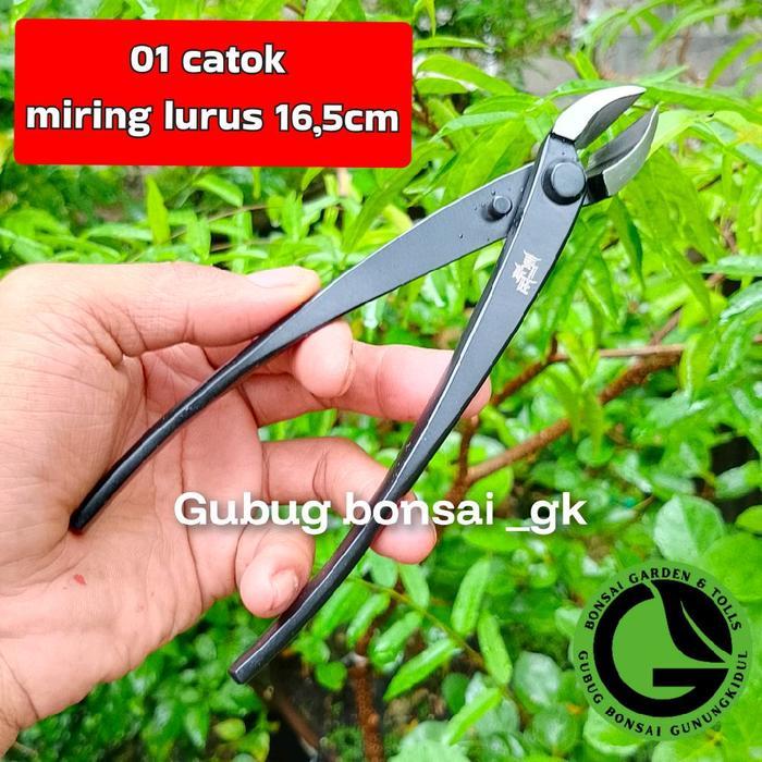 Catok Bonsai Carbon Steel untuk Pemangkasan Tanaman Bonsai, Tersedia Varian Catok Miring dan Cembung