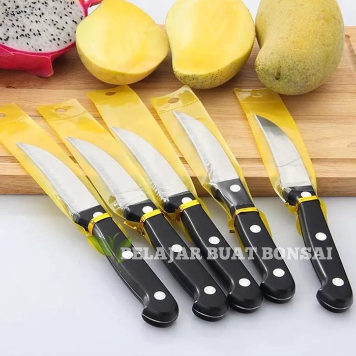 PISAU OKULASI BAJA STAINLESS UNTUK CANGKOK DAN SAMBUNG PUCUK TANAMAN