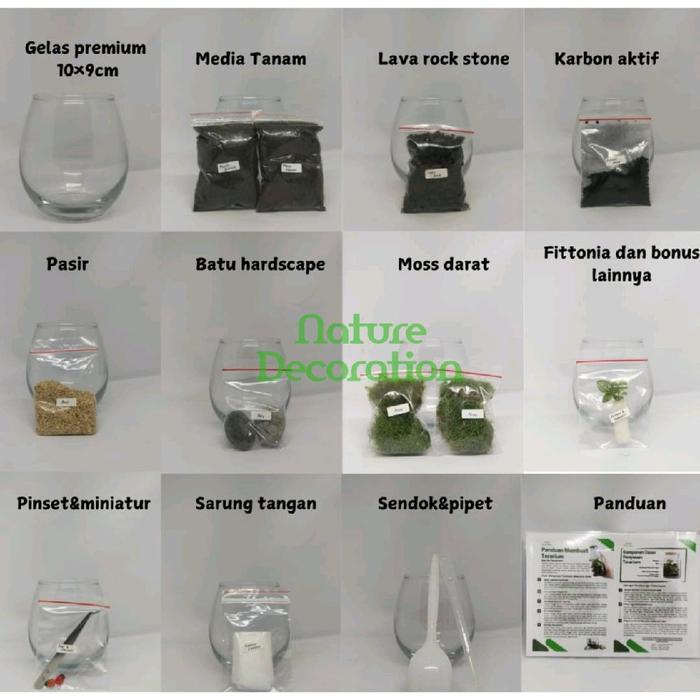 Paket Terarium Kit DIY Lengkap Murah Bahan Bahan Terarium