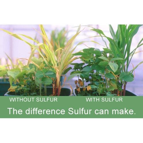 

Promo Pupuk Meroke Sop 1 Kg Nutrisi Penyubur Tanaman Hidroponik Grade Termurah