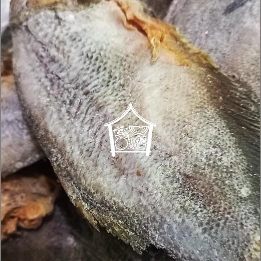 

ASLI Ikan Sepat READY STOCK