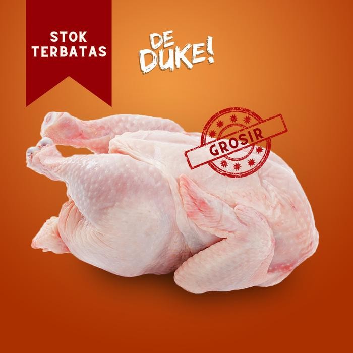 

Pilihan- Ayam Karkas Broiler Utuh / Ayam Potong. Termurah