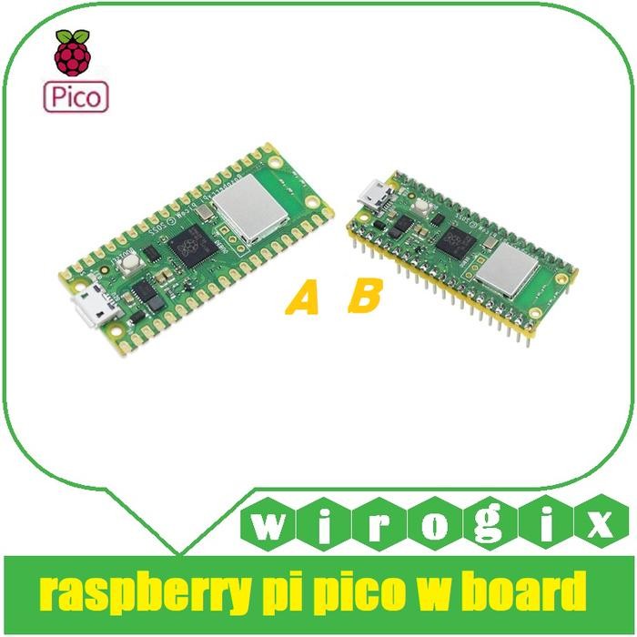 Pilihan- Raspberry Pi Pico W Board