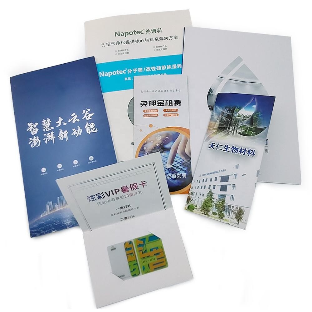 Special Design Creative Personalized Customization Full Color Printing Passport Size Booklet/Flyer /