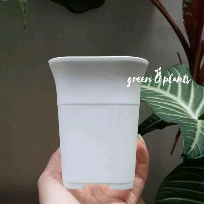 Pot NKT Kotak Tipe 8 Plastik Tanaman Kaktus Kecil