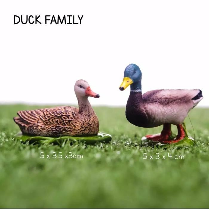 TERBARU MONTESSORI CULTURAL FARM ANIMAL DUCK TERMURAH