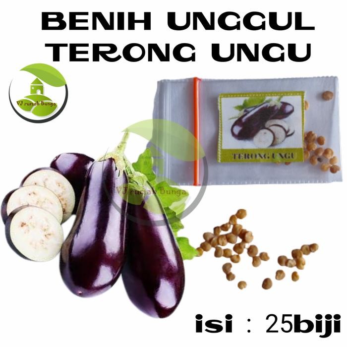 benih terong ungu panjang/bibit sayur terong ungu