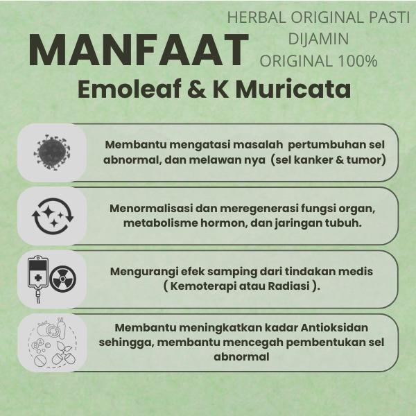 Emoleaf & K Muricata Original Obat Herbal Untuk Tumor & Kanker Paru Paru Prostat Serviks Usus