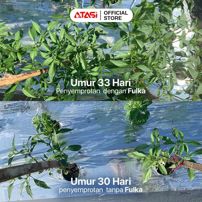 

Promo Fulka Zat Stimulator Tanaman Pupuk Anti Stres Pelemas Daun Keriting Pembesar Buah Nutrisi