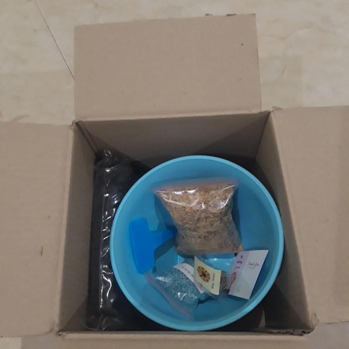 Jlterang Gardening Kit Bunga Matahari