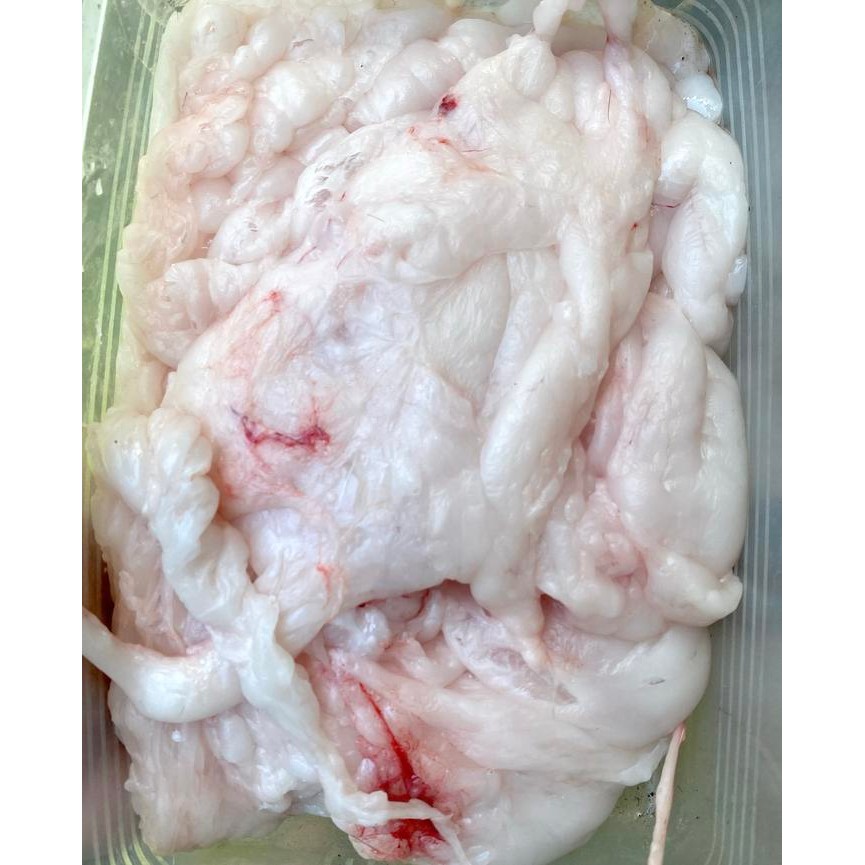 Pilihan- Lemak Kambing, Minyak Kambing 1Kg