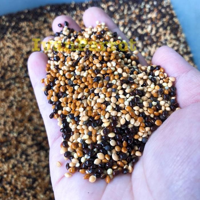 MILLET 3 WARNA MILLET MERAH HITAM PUTIH 1KG PAKAN BURUNG