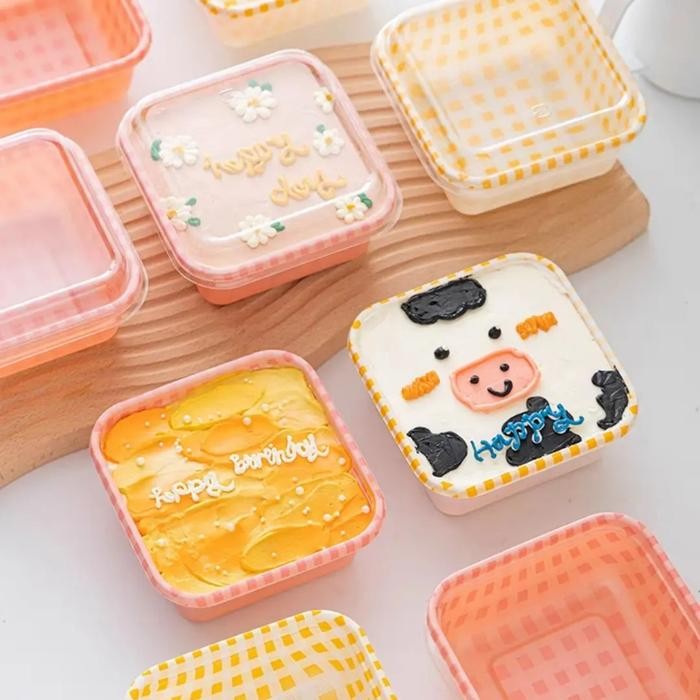 Dessert Box / Picnic Lunch Box