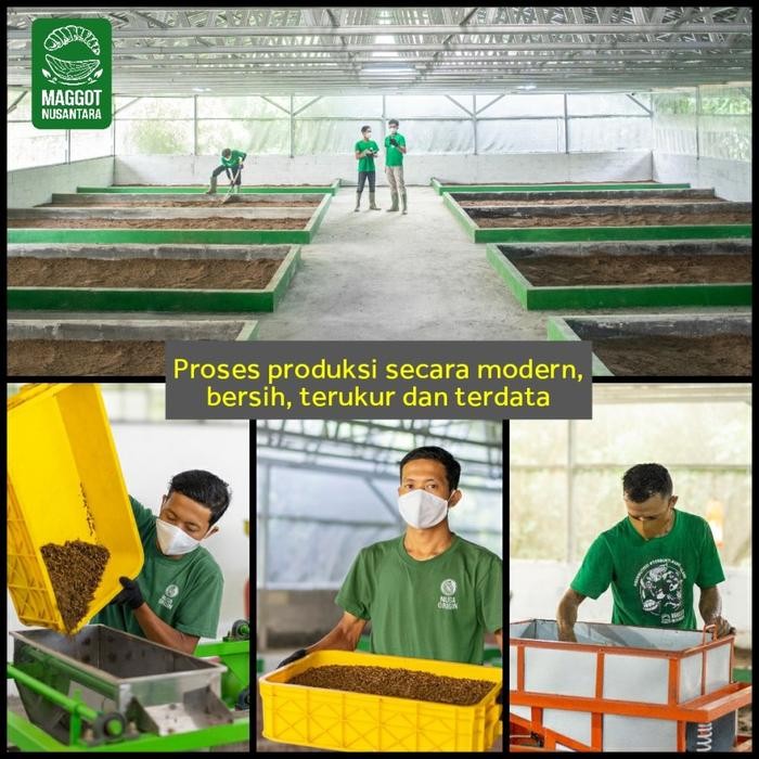 PAKAN SUPLEMEN IKAN KOI PREMIUM - MAGGOT NUSANTARA - SUPLEMEN KOI BSF BERKUALITAS EKSPOR, STERIL,