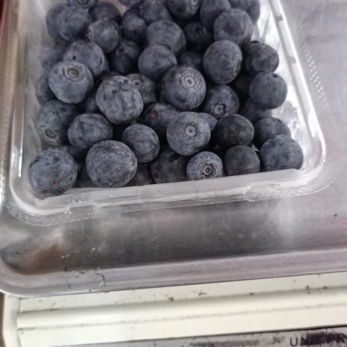 Fruitsz- Buah Blueberry Segar Nuri FruitsBuah Segar Bandung