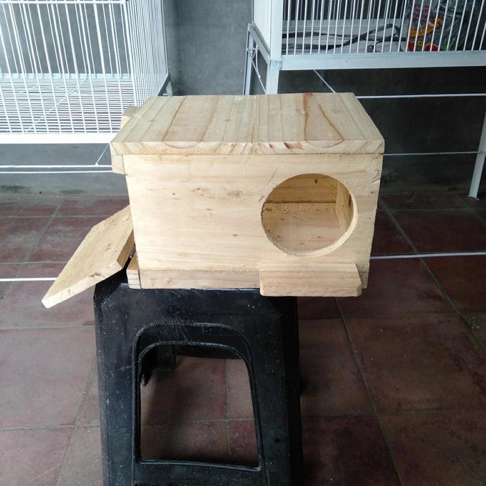 Kotak Telur,Burung Parot, Sunconure, Falk, Nuri, Dll #Gratisongkir