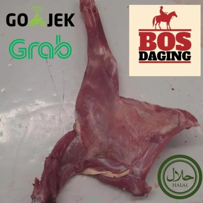 

Pilihan- Paha Dan Iga Kambing Muda Dijamin Fresh Segar