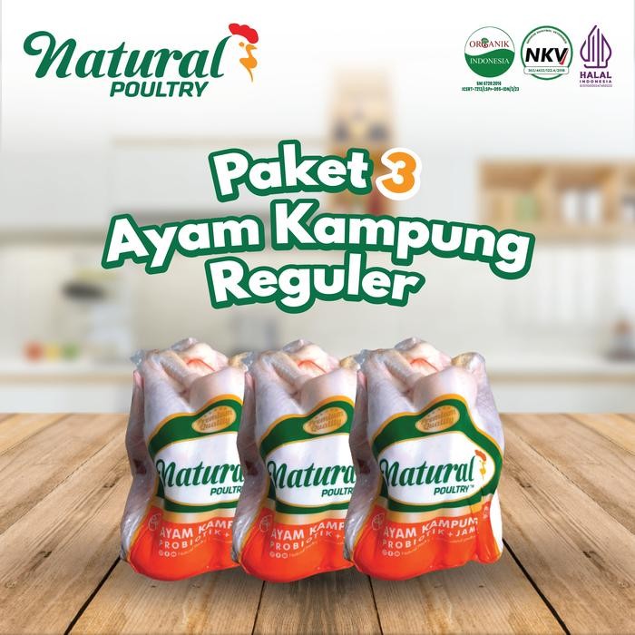 

Pilihan- Paket 3 Ayam Kampung Reguler Organik Probiotik Natural Poultry