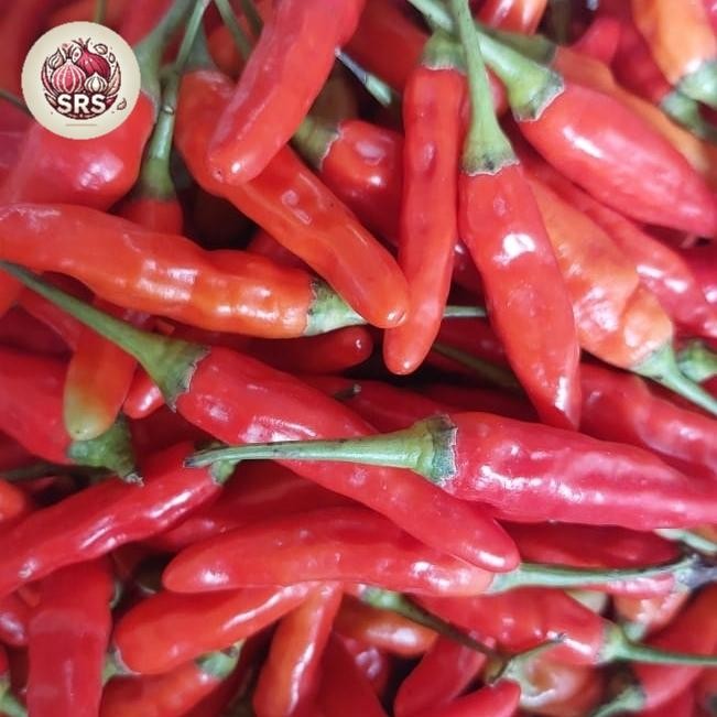 

Pilihan- Cabe Rawit Segar Kemasan 500Gr