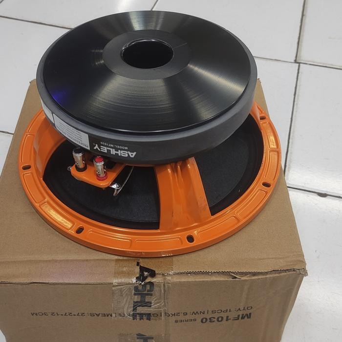 Subwoofer 10In Ashley Mf 1030