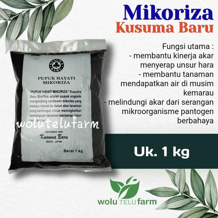 Pilihan- Pupuk Mikoriza Kusuma Pupuk Hayati 1 Kg