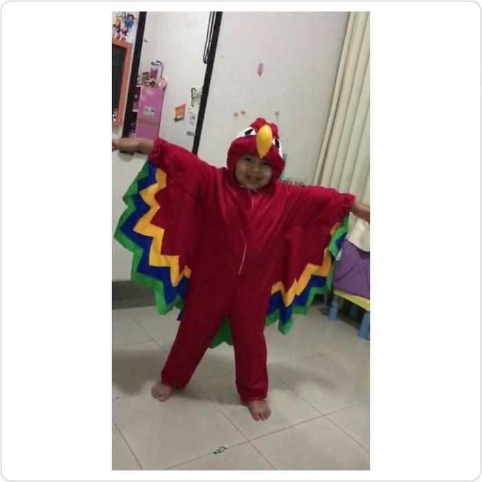 HEMAT Kostum Burung/Kostum Binatang/Kostum Binatang Anak/Kostum Burung Anak/Nadine Kostum/Kostum