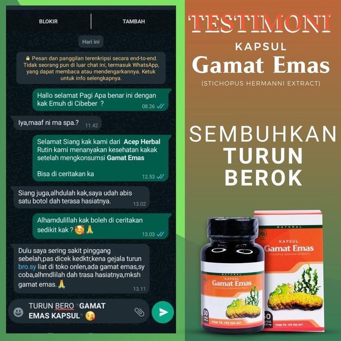 KAPSUL GAMAT EMAS EKSTRAK TRIPANG EMAS ISI 50