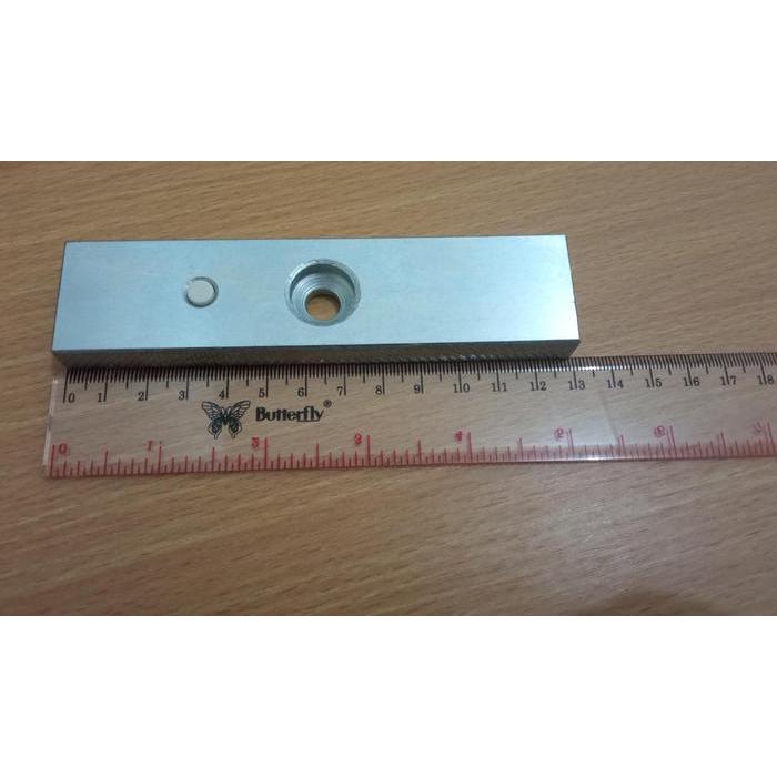Magnetic Lock EmLock 180kg 350lbs