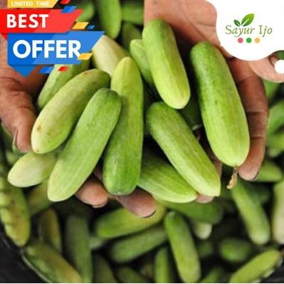 Pilihan- Timun Lalap 1 Kg Fresh Baby Cucumber Mentimun Sayur Hijau Segar