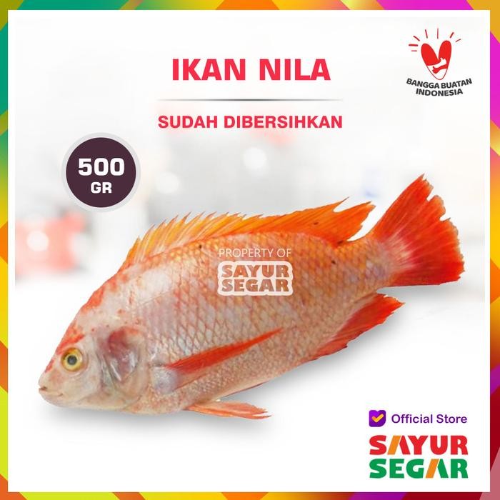 

Pilihan- Ikan Nila [500G] Bersih Segar