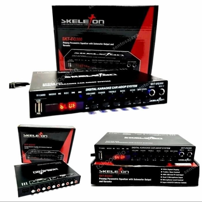 Ready Preamp Parametric Skeleton SKT-EQ300