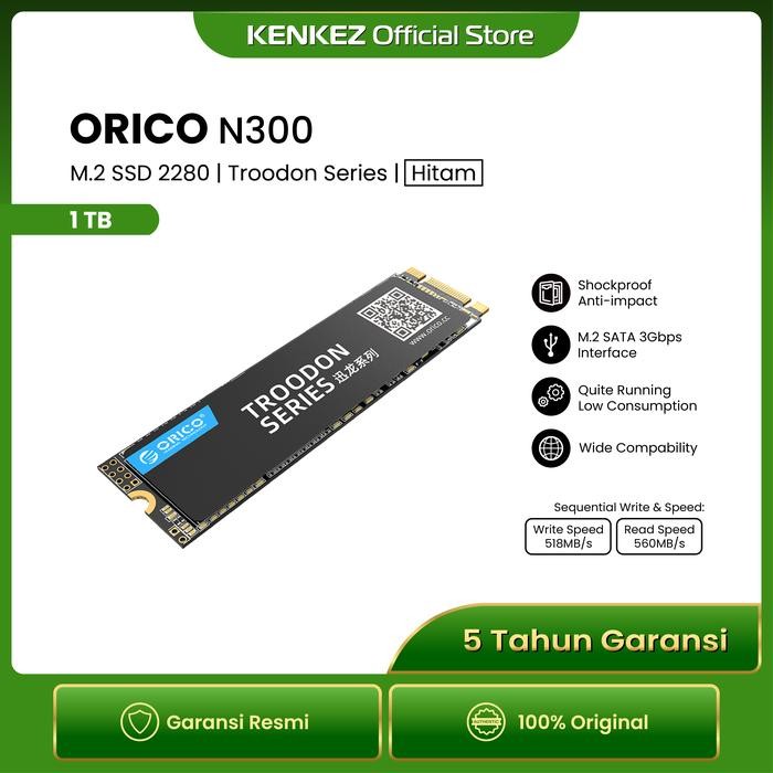 ORICO - N300 - M2 Sata SSD Troodon Series 1TB