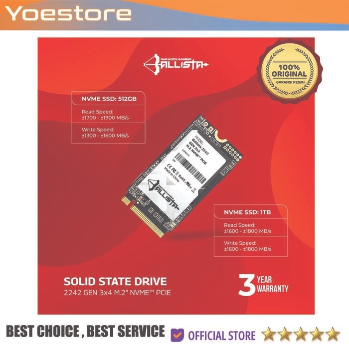 Paradox Gaming Ballista SSD 1TB M.2 NVMe 2242 / SSD M.2 1TB