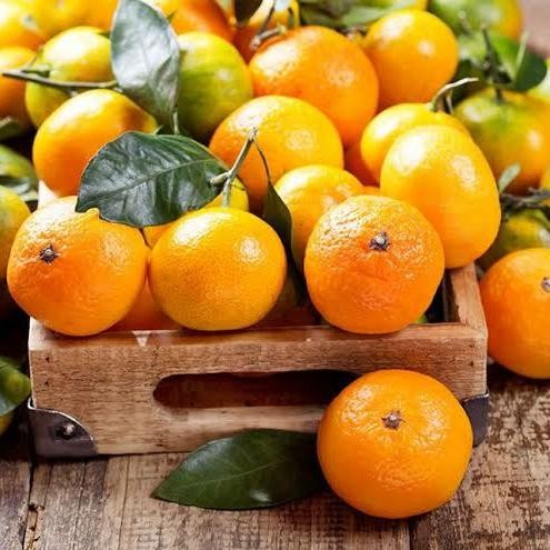 SegArRr- Promo Murah 1 Keranjang Jeruk Santang Madu Manis Buah Shantang Import