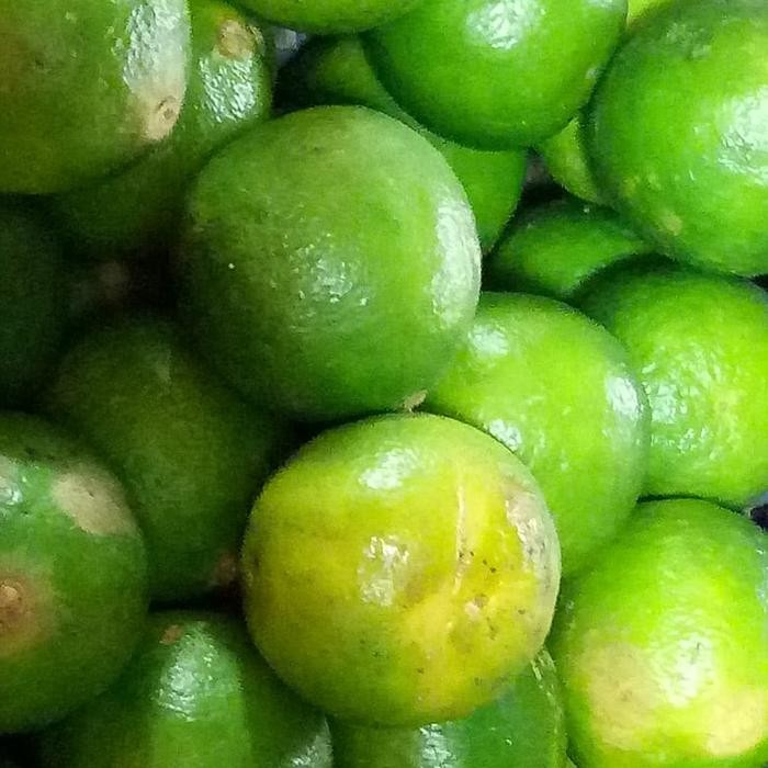 SegArRr- Jeruk Nipis Super Segar Fresh 1Kg - Grosir